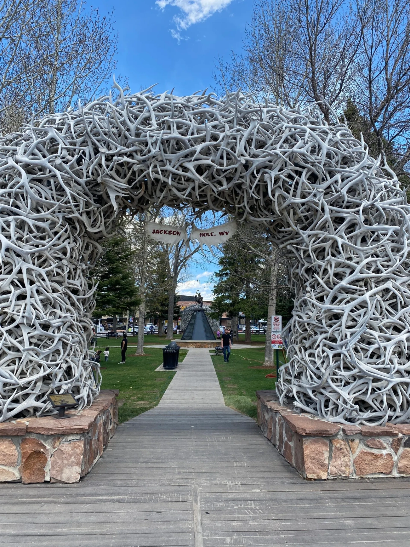 Famous Antler Arch